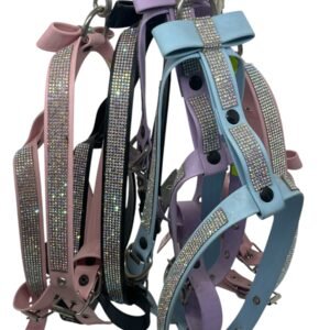 Pechera y collar con brillos