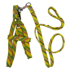 Correa con pechera de tela